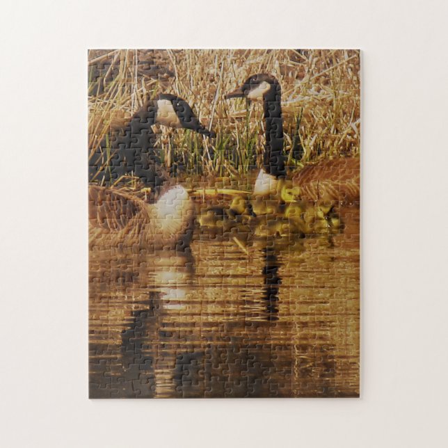 Canada Goose Family Cute Babies Goslings Geese Jigsaw Puzzle (Vertical)