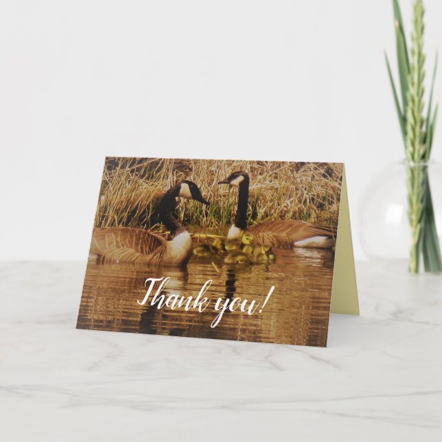 Canada Goose Family Cute Babies Goslings Geese Thank You Card (Front)