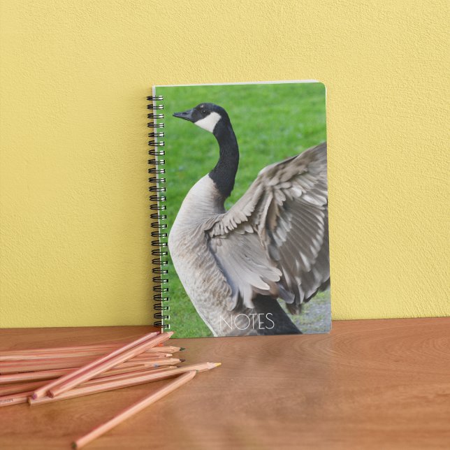 Canada Goose Flapping Wings Photo Notebook (In Situ)