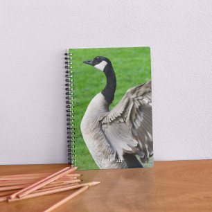Canada Goose Flapping Wings Photo Notebook