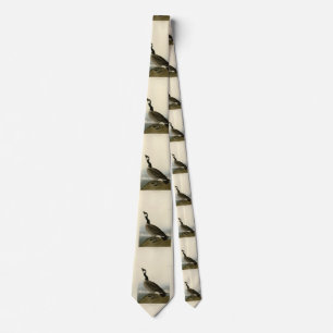 Canada Goose from Audubon's Birds of America  Tie