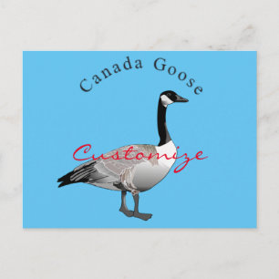Canada Goose Gander Thunder_Cove Postcard