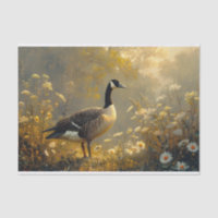 Canada Goose Golden Hour White Daisies Decoupage