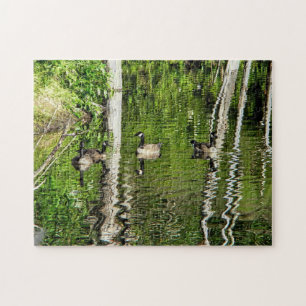 (Canada) Goose Green Jigsaw Puzzle