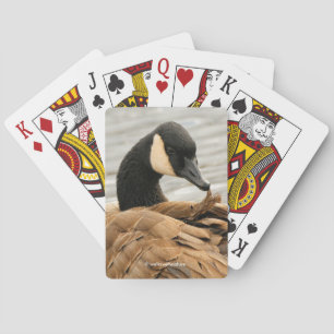 Canada Goose Grooming on the Lake Playing Cards