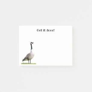 Canada Goose Honking Notes