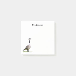 Canada Goose Honking Notes