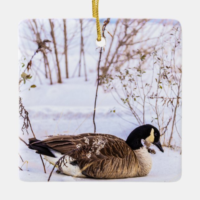 Canada Goose in Snow Ornament (Front)