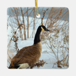Canada Goose in Snow Ornament