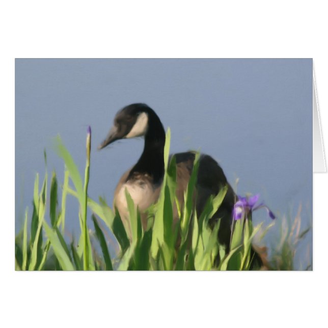 Canada Goose Irises Animal Art Card (Front Horizontal)
