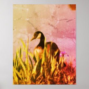 Canada Goose Irises Distressed Nature Art Poster