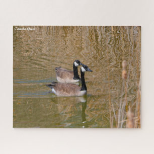 Canada Goose Jigsaw Puzzle