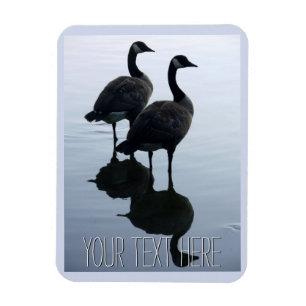 Canada Goose Magnet Canada Souvenir Fridge Magnets