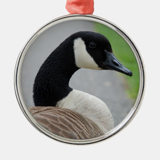 Canada goose metal ornament (Front)