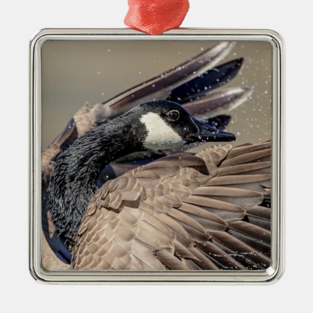 Canada Goose Metal Ornament (Front)