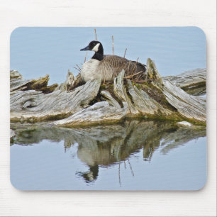 Canada Goose Mouse Pad
