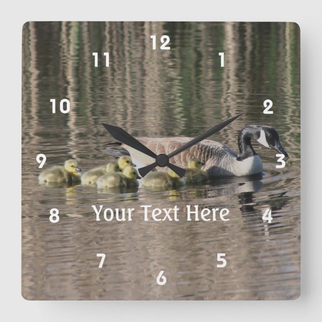 Canada Goose Mum And Babies Personalised Square Wall Clock (Front)