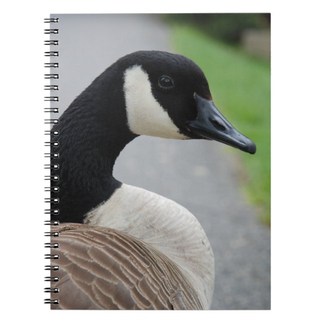 Canada goose notebook (Front)