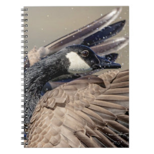 Canada Goose Notebook