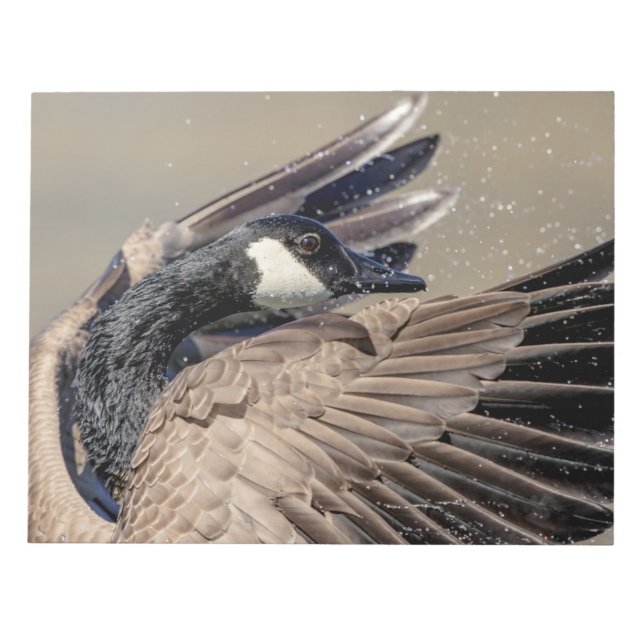 Canada Goose Notepad (Front)