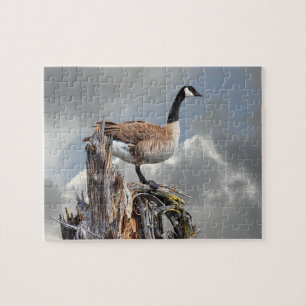 CANADA GOOSE ON A SNAG JIGSAW PUZZLE
