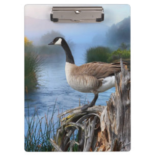 CANADA GOOSE ON THE SHASTA CLIPBOARD