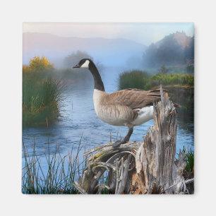CANADA GOOSE ON THE SHASTA MAGNET