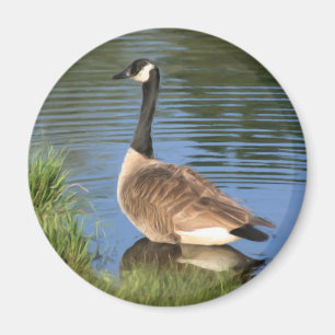 Canada Goose Painting Magnet