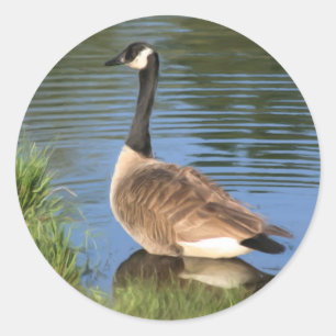 Canada Goose Painting Sticker
