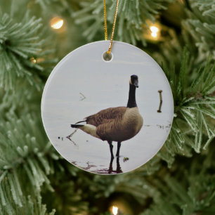 Canada Goose Photo Ceramic Ornament