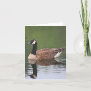 Canada Goose Reflections Nature Note Card