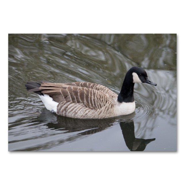 Canada Goose Table Number (Front)