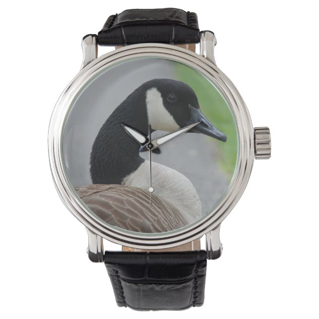 Canada goose watch (Front)