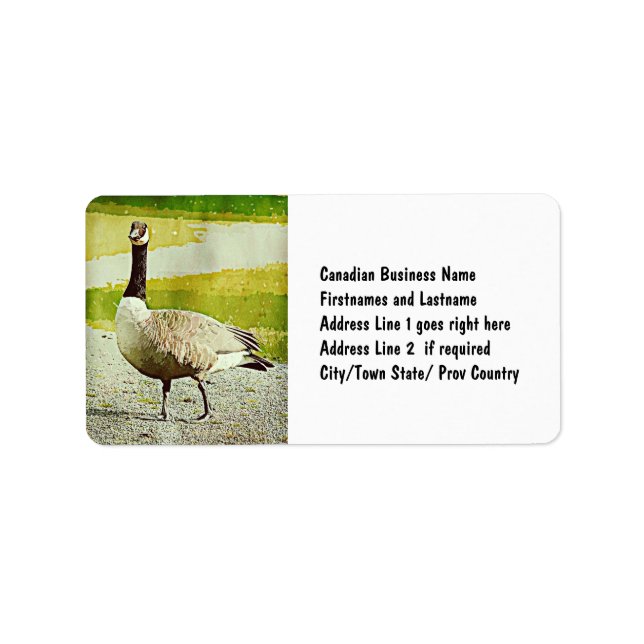 Canada Goose - Watercolor Painted Effect Label (Front)
