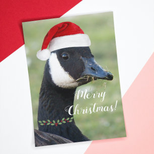 Canada Goose Wearing Red Santa Hat Holiday