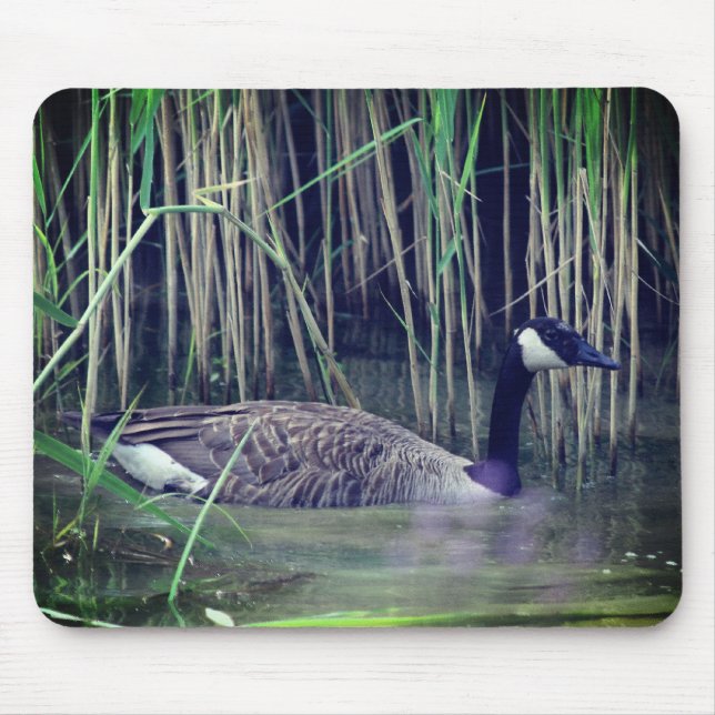 Canada Goose Wildlife Nature  Mouse Pad (Front)
