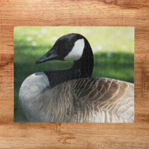 Canada Goose Wildlife Photo Jigsaw Puzzle
