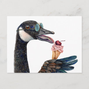 Canada Goose with Ice Cream Postcard