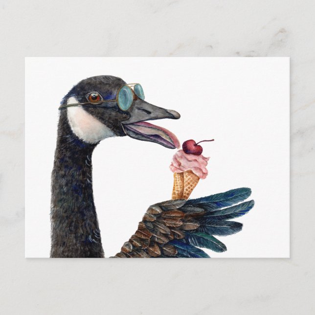 Canada Goose with Ice Cream Postcard (Front)