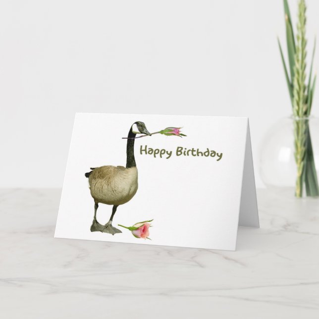 Canada Goose with Rose Birthday Card (Front)