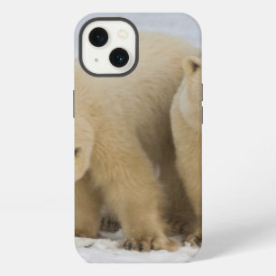 Canada, Hudson Bay. Polar bear mother with two iPhone Case