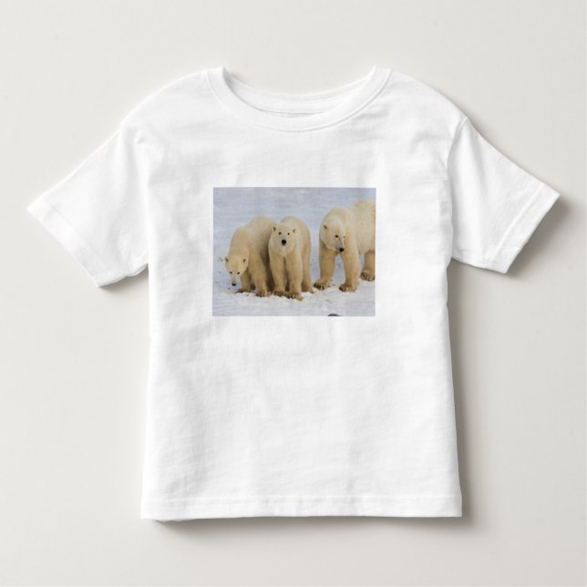 Canada, Hudson Bay. Polar bear mother with two Toddler T-Shirt (Front)