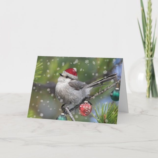 Canada Jay Christmas  Holiday Card (Front)