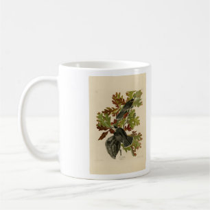 Canada Jay (Grey Jay) - Audubon's Birds of America Coffee Mug