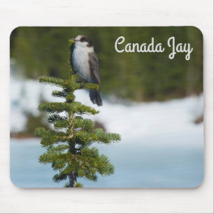Canada Jay Mouse Pad