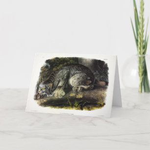 Canada Lynx (Lynx Canadensis) (Canadian Lynx) Card