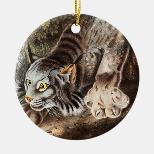 Canada Lynx (Lynx Canadensis) Illustration Ceramic Ornament (Front)
