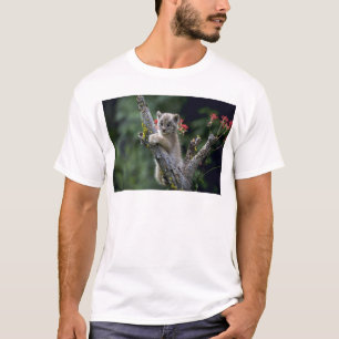 Canada Lynx-small kitten T-Shirt
