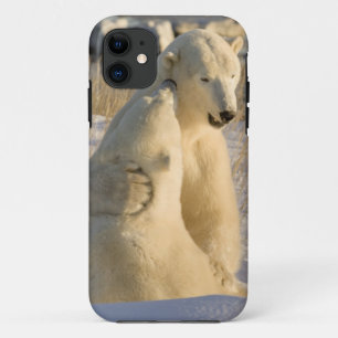 Canada, Manitoba, Hudson Bay, Churchill. iPhone 11 Case