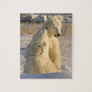 Canada, Manitoba, Hudson Bay, Churchill. Jigsaw Puzzle